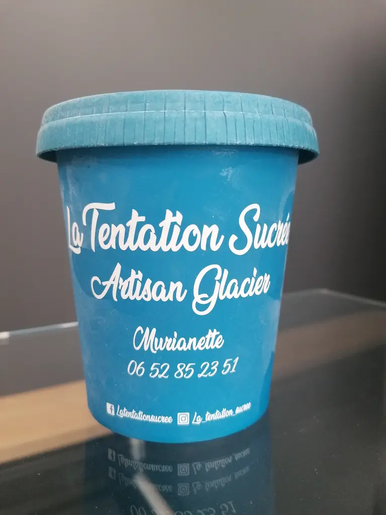 Pot de glace 500ml